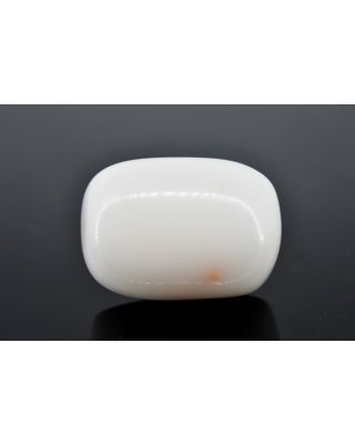 19.89/CT White Coral With Govt. Lab Certified (1500)       