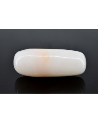 5.56/CT White Coral With Govt. Lab Certified (1500)      