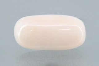 7.98/CT White Coral with Govt. Lab Certified (1500)     