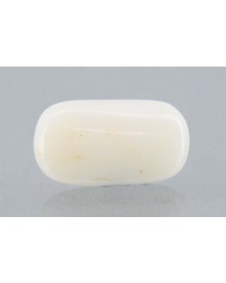 4.88/CT White Coral with Govt. Lab Certified (1500)   